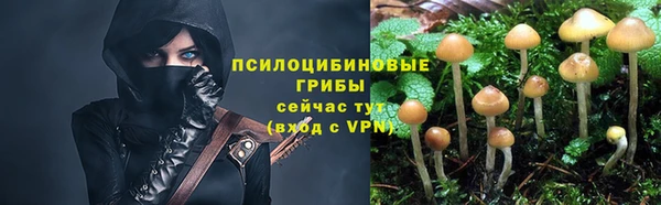 марихуана Бородино