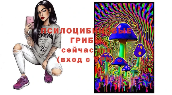 apvp Бронницы