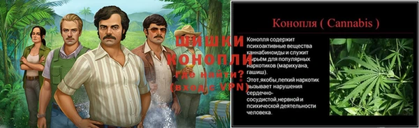мдпв Бугульма
