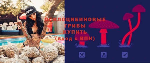 мдпв Бугульма