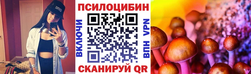Галлюциногенные грибы прущие грибы  Кондрово 